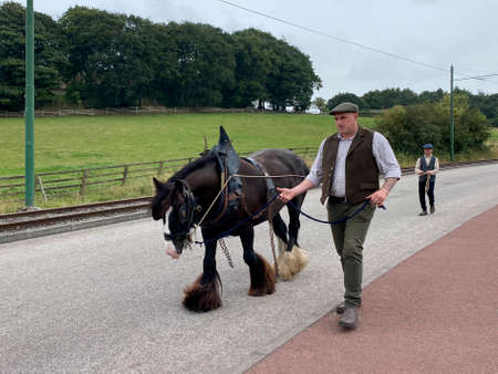 Men in 19th century period dress with a Shire Horse at the Beamish Open Air Museum in Northumberland in the northesat of England.のeditorial素材