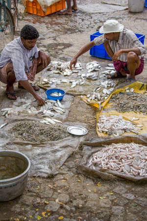 Fishermen sorting their catch - Kochi (Cochin) on the Malabar Coast in the state of Kerala, India.のeditorial素材