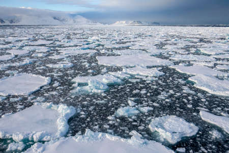 Sea ice in the North Atlantic Ocean off the northeast coast of Greenland.の写真素材