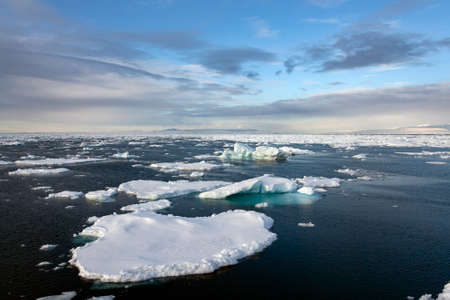 Sea ice in the North Atlantic Ocean off the northeast coast of Greenland.