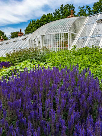 Gardening - colorful plants growing near a large greenhouse in the gardens of an English country estate.の写真素材