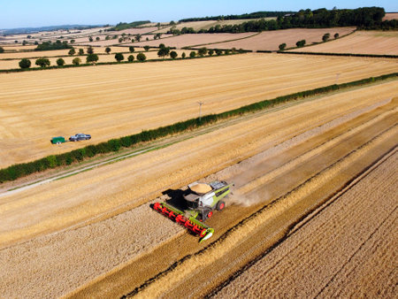 Aerial view of a combine harvester in a landscape of wheat fields on farmland in North Yorkshire in...
