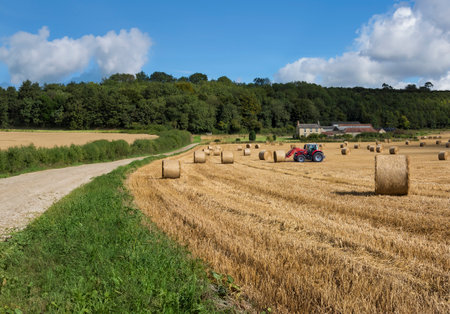Yorkshire countryside at harvest time. Arable farmland near Hovingham in North Yorkshire in the north of England.の写真素材