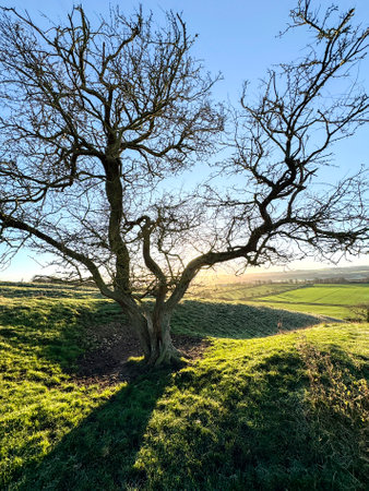 Rural landscape on a fine winters morning in North York Moors National Park in the northeast of England.の写真素材
