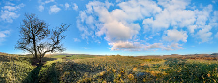 Rural landscape on a fine winters morning in North York Moors National Park in the northeast of...