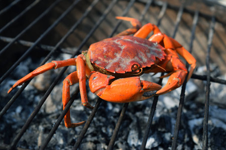 Crab on the BBQの写真素材