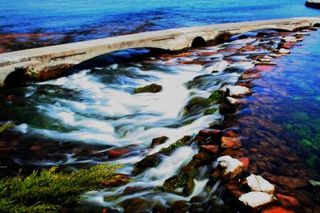 Color of Natureの写真素材