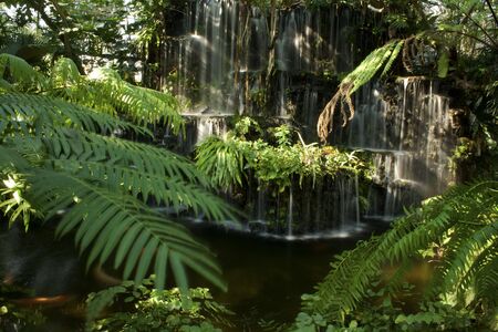 A refreshing waterfallの写真素材