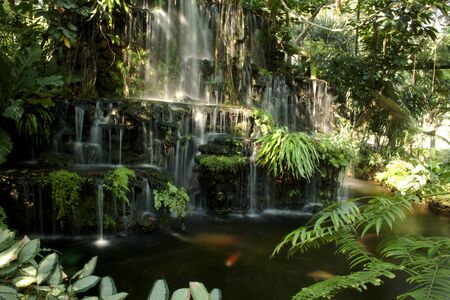 Waterfall in the tropicsの写真素材