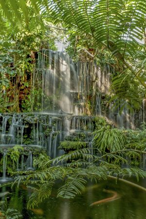 A tropical waterfallの写真素材