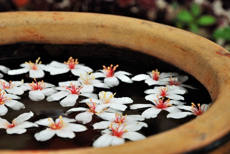 The oil tung is coloredの写真素材