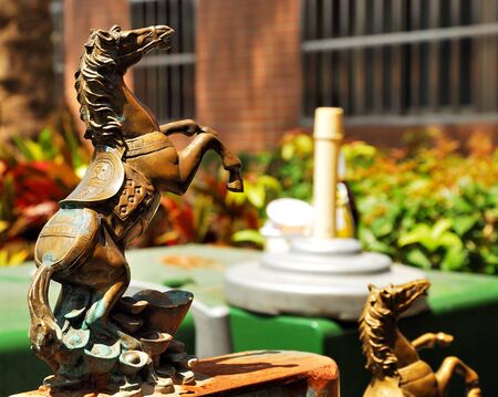 horseの写真素材