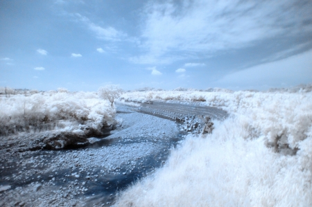 IR photographの写真素材