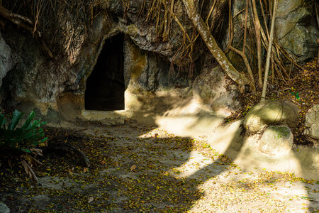 Old cave in the jungle at Chiang Rai province, Thailand.
