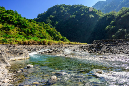 Mountain river with clear water and green forest on the background.の写真素材