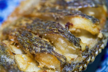 One piece of fried tilapia close-up, home cooking