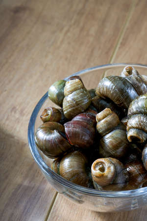 Close-up of a bowl of escargot, snail rice noodle ingredients