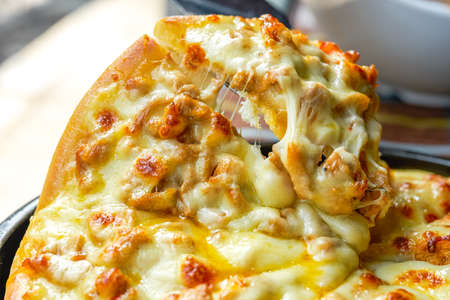 A close-up of a golden cheese brushed chicken pizza