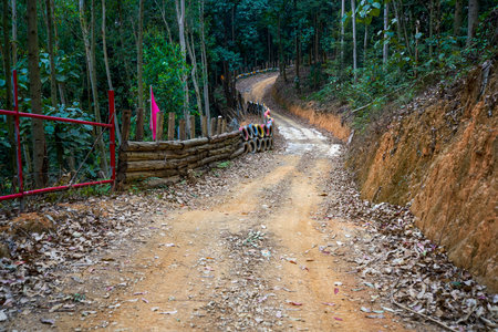 Off-road karting track, mountain and dirt road forest track