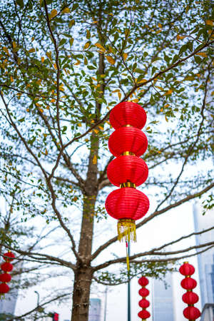 Red lanterns hanging on the trees in the city