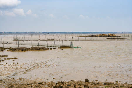 Fishing facilities on the beachの写真素材