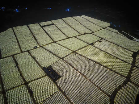 Aerial photography of dragon fruit fields in the outskirts of Guangxi, China at night