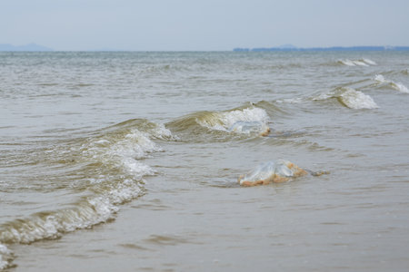 Close-up of waves coming from the seaの写真素材