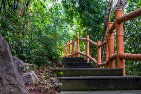Uphill walking path of a big mountain in the park
