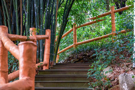 Uphill walking path of a big mountain in the park