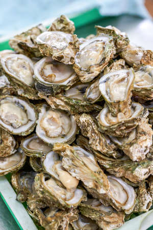 Close-up of a plate of plump fresh oystersの写真素材