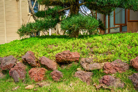 Green lawn vegetation and stone landscape in the manor courtyard
