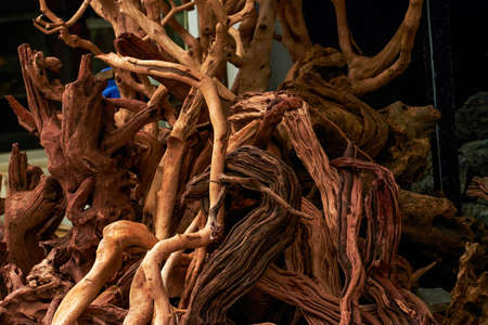 A pile of large wood carving root carvings for sale