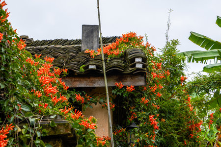 Stone buildings and planted green plants in a garden parkの写真素材