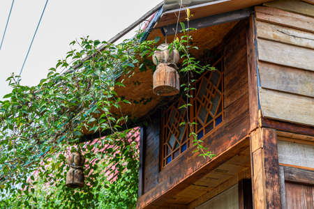 Close-up of potted green plants hanging in the garden
