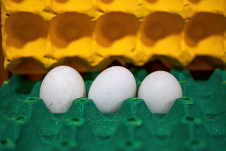 Close-up of eggs on paper trayの写真素材
