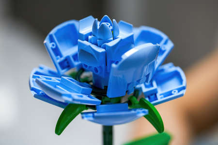 A flower made of children's blocks