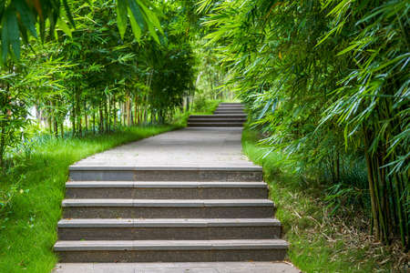 A leisure trail in the bamboo forest in the parkの写真素材