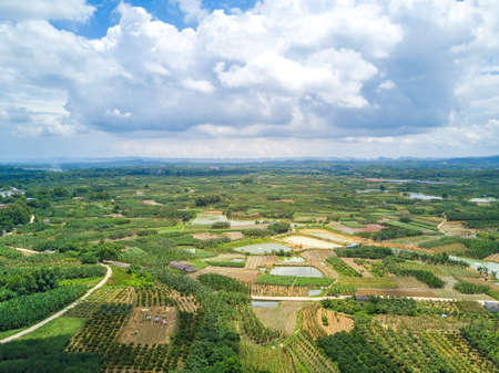 Aerial photography of wild field plants and blue sky and white clouds in Guangxi, Chinaの写真素材