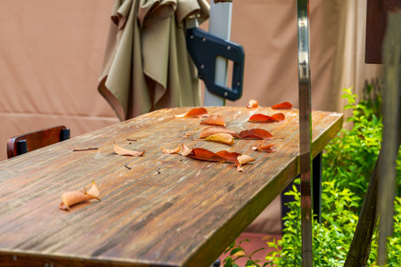 Wooden table with fallen leaves in outdoor garden