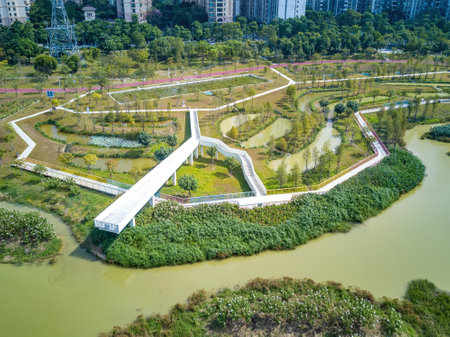 Aerial photography of a river swamp in a wetland park in a cityの写真素材