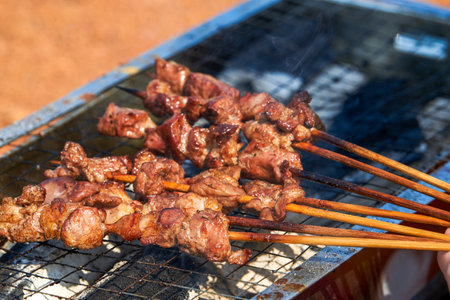A person is grilling meat skewers in a picnic camping, delicious and tempting barbecueの写真素材