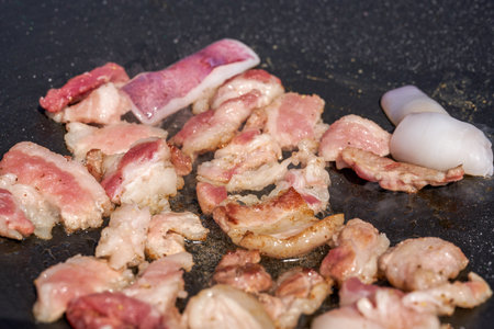 Pan-fried Pork Belly in a Picnic Campの写真素材