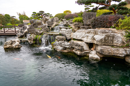 Rockery rocks in the beautiful garden and boutique koi in the pondの写真素材