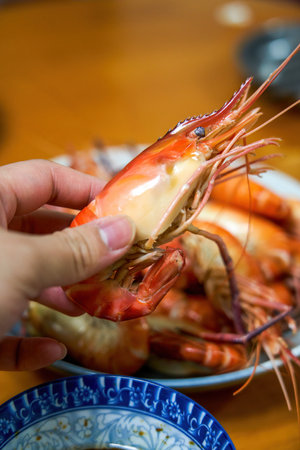 Fresh and plump boiled Roche prawnsの写真素材