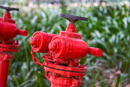 Closeup of a brand new red fire hydrant outdoorsの写真素材