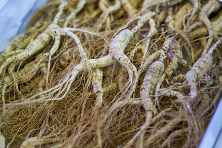 Ginseng roots in the market, closeup of photo.の写真素材