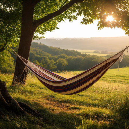 Hammock on the meadow at sunset. Beautiful summer landscapeの素材