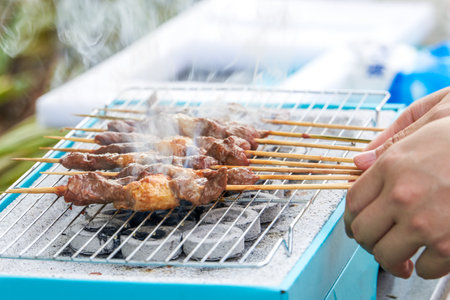 Outdoor portable disposable barbecue grill lamb kebabsの写真素材