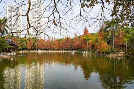 Yellowing leaves of trees in summer park