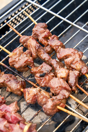 Delicious charcoal grilled lamb kebabsの写真素材
